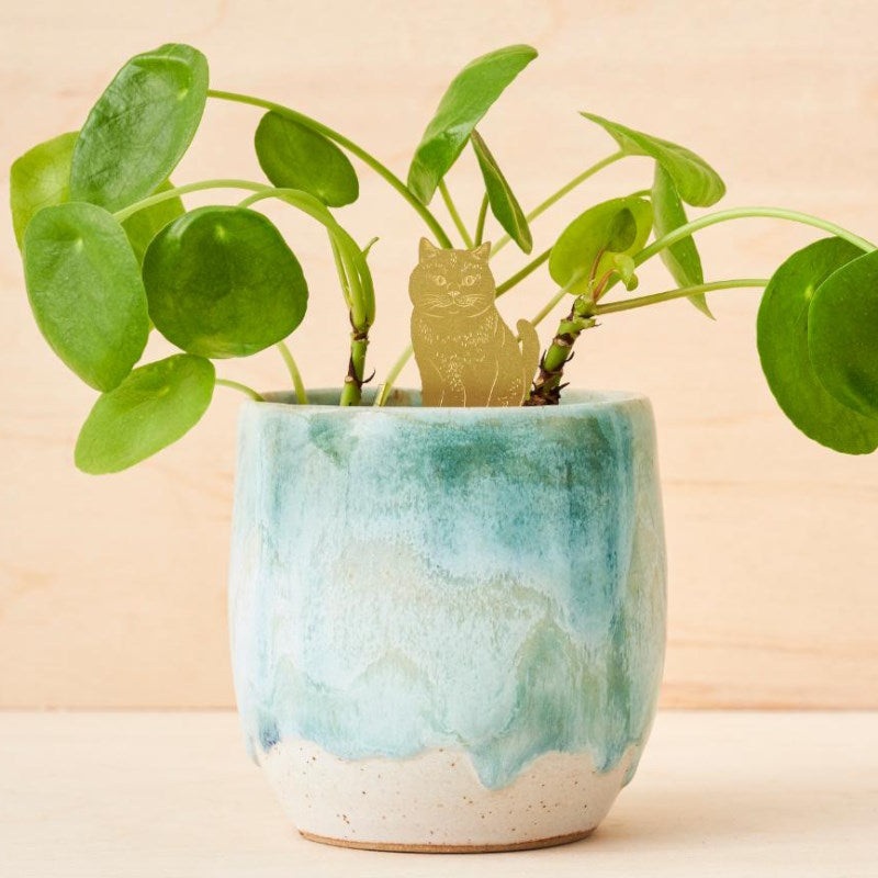 Plant Animal Cat Houseplant Hanging Decoration