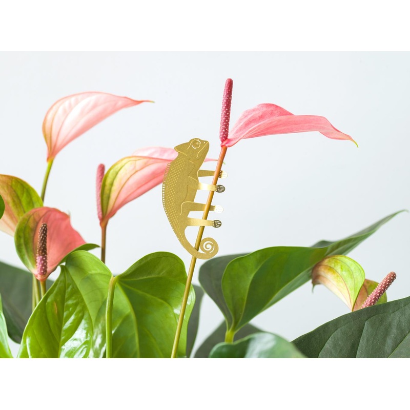 Plant Animal Chameleon Houseplant Hanging Decoration
