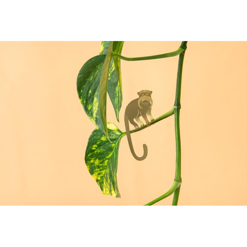 Plant Animal Tamarin Houseplant Hanging Decoration
