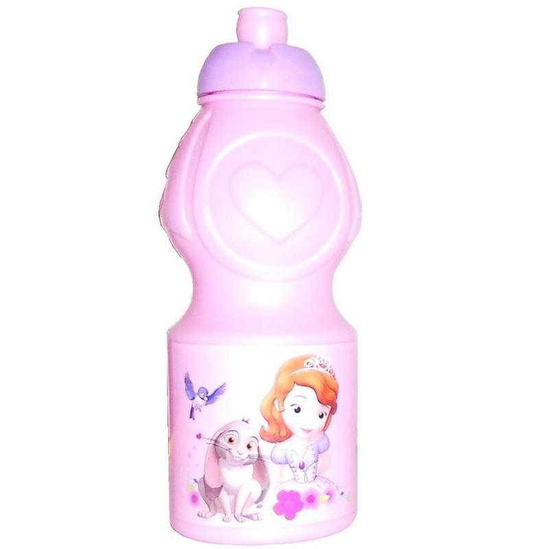 Sofia the First Pink School Lunch Drink Bottle - Buy Online