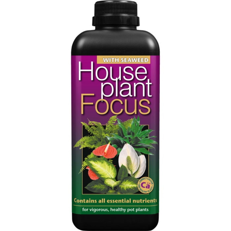 Houseplant Focus Pour and Grow 1 Litre