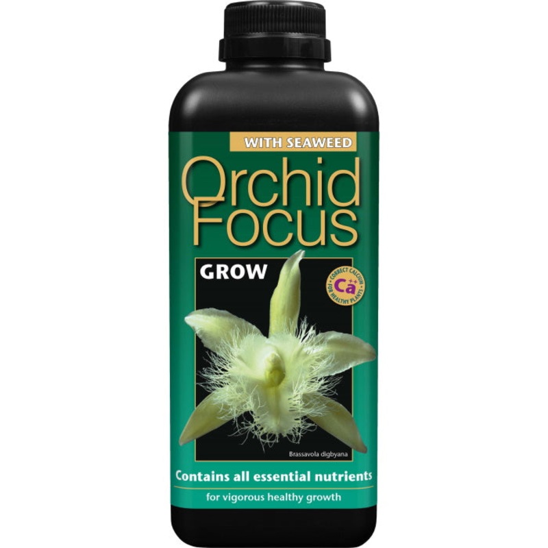 Orchid Focus Pour and Grow 1 Litre