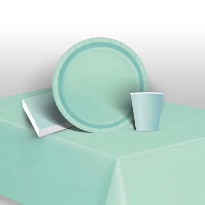 Mint Green Solid Coloured Party Pack (Starter)