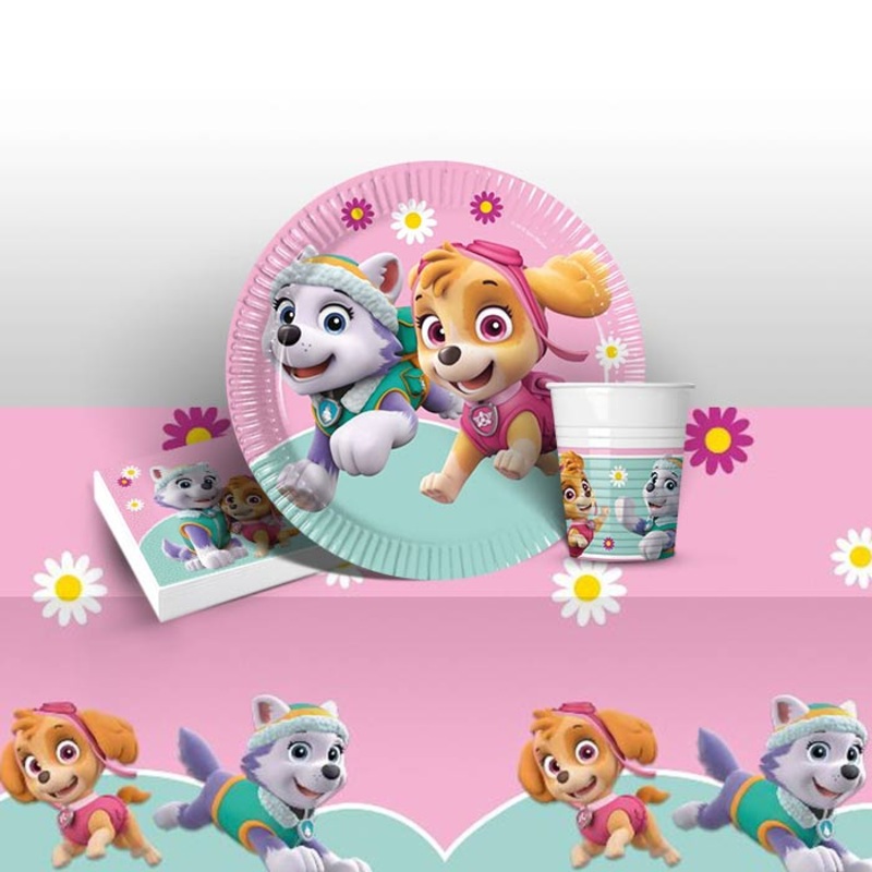 Skye & Everest Paw Patrol Party Pack (Starter)