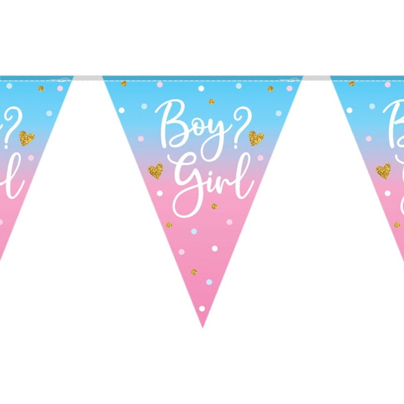 Ombre Boy or Girl Gender Reveal Bunting 11 flags 3.9m