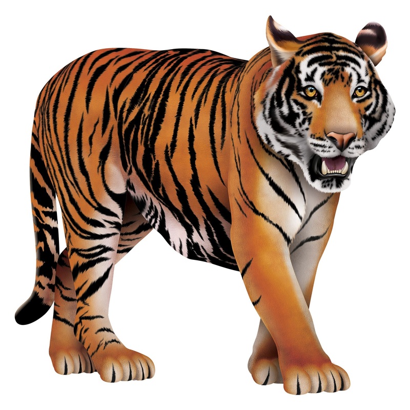 12 Pack Beistle Jointed Tiger Wall Decoration