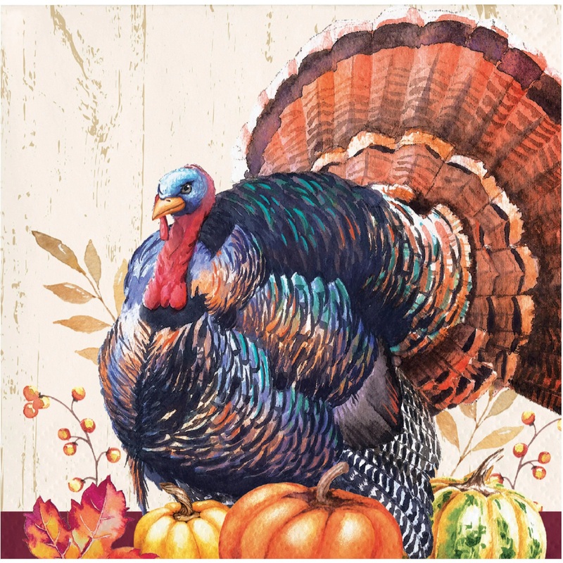 Bulk Pack of 48 Harvest Turkey Beverage 2Ply Napkins