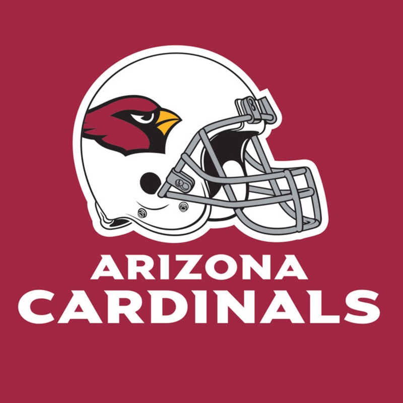 Bulk Pack of 32 Arizona Cardinals Napkins