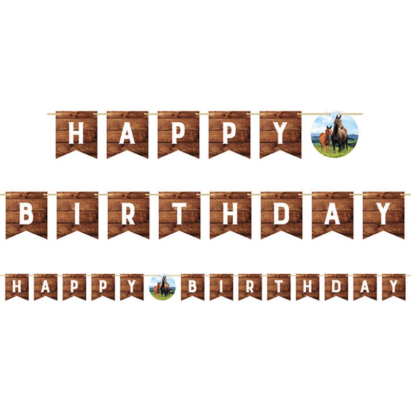 12 pc Bulk Wild Horse Banners