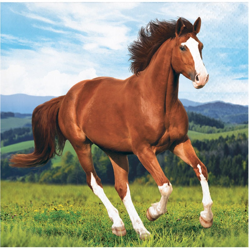 192 pc Bulk Wild Horse Beverage Napkins