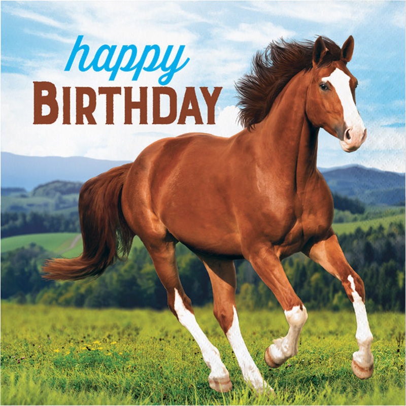 192 pc Bulk Wild Horse Happy Birthday Luncheon Napkins
