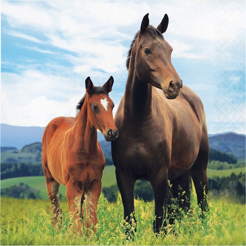 192 pc Bulk Wild Horse Luncheon Napkins