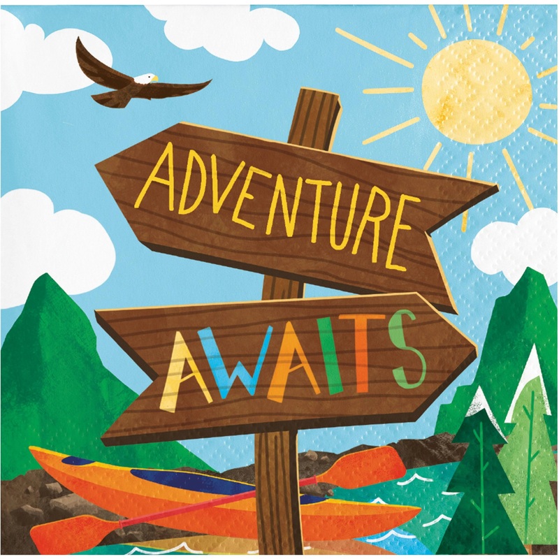 192 pc Bulk Outdoor Adventure Beverage 2Ply Napkin