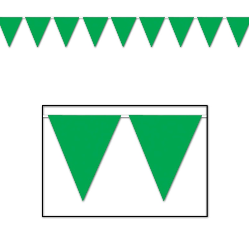 12 Pack Beistle Green Party Pennant Banner