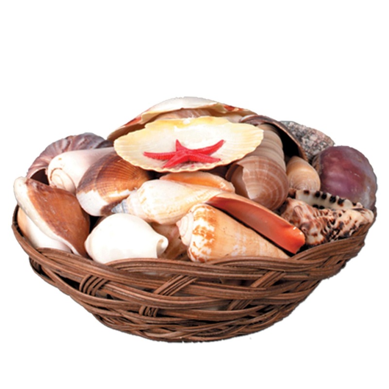 6 Pack Beistle Luau Party Shell Basket