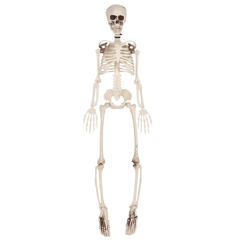 Beistle Halloween Plastic Skeleton Decoration