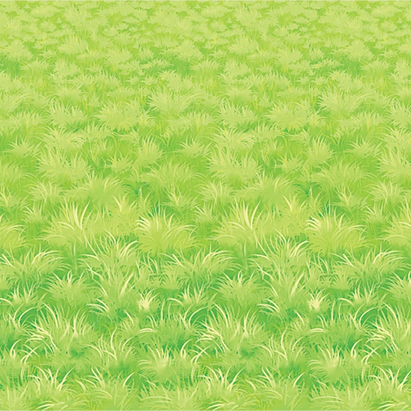 6 Pack Beistle Meadow Party Backdrop